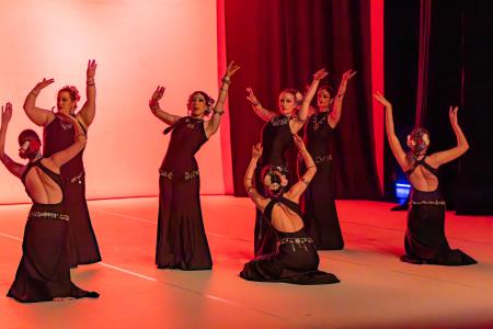 Območna revija plesnih skupin Finesa plesa 2024 (34)